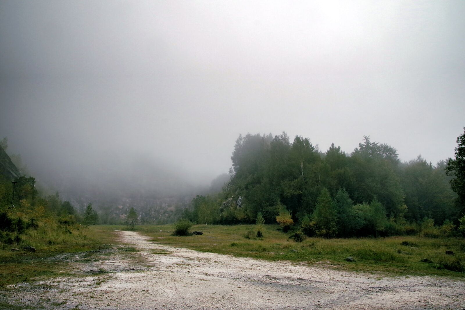 Pentax K-S2 sample photo. The fog, forest, mountains photography