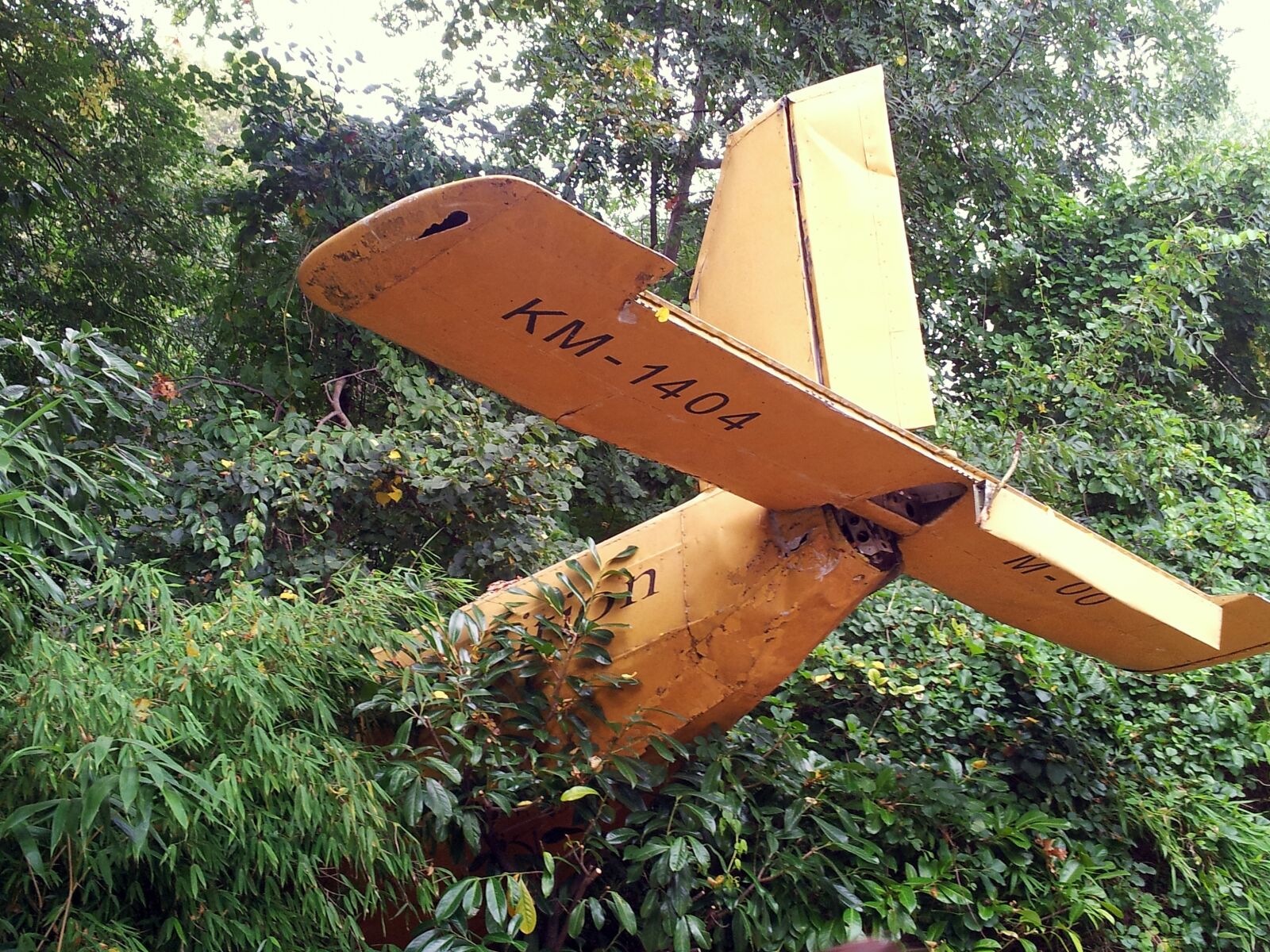 Samsung Galaxy S2 sample photo. Aircraft, wreck, plane wreck photography