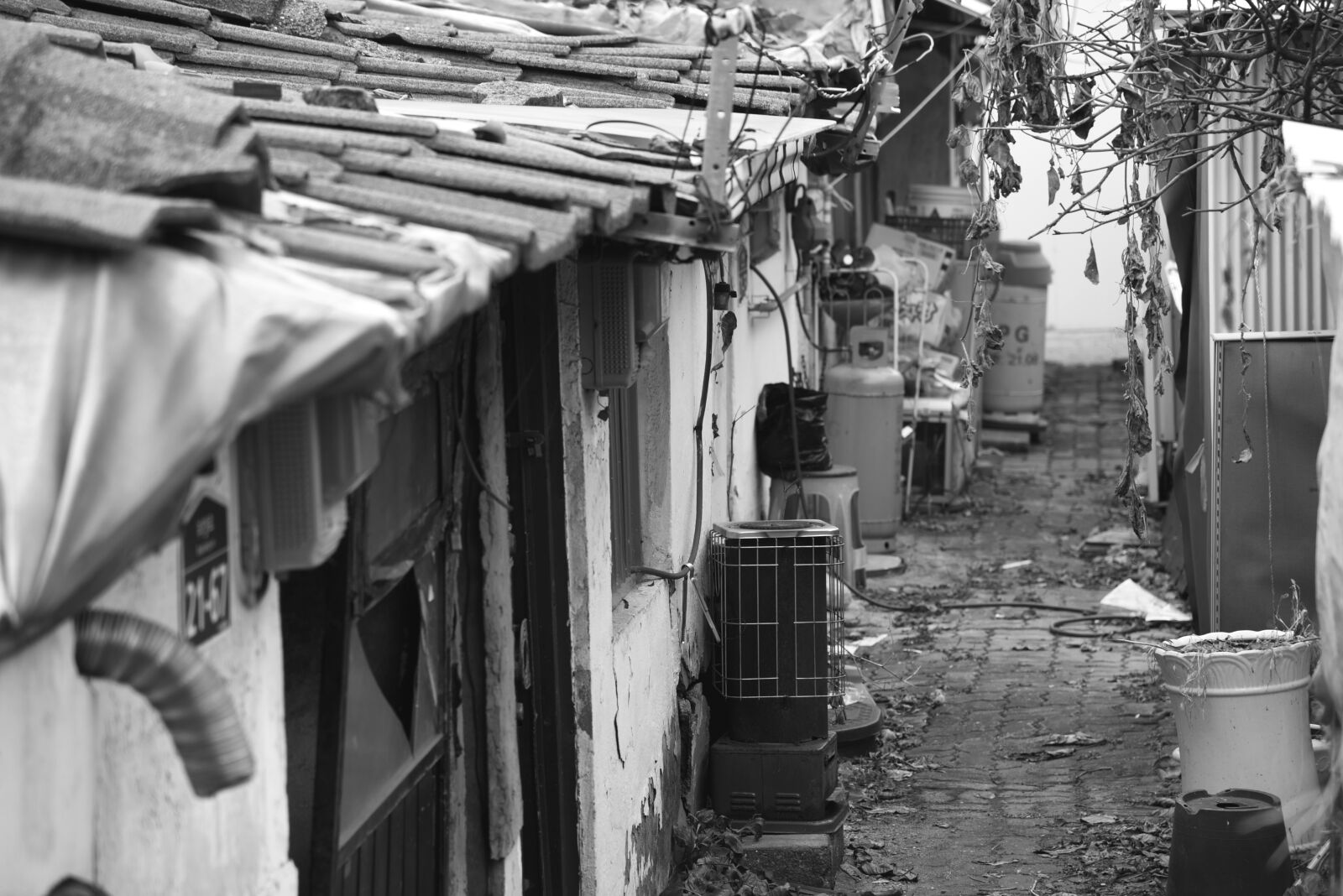 Nikon D750 sample photo. Korea, oriental, dreamlike photography