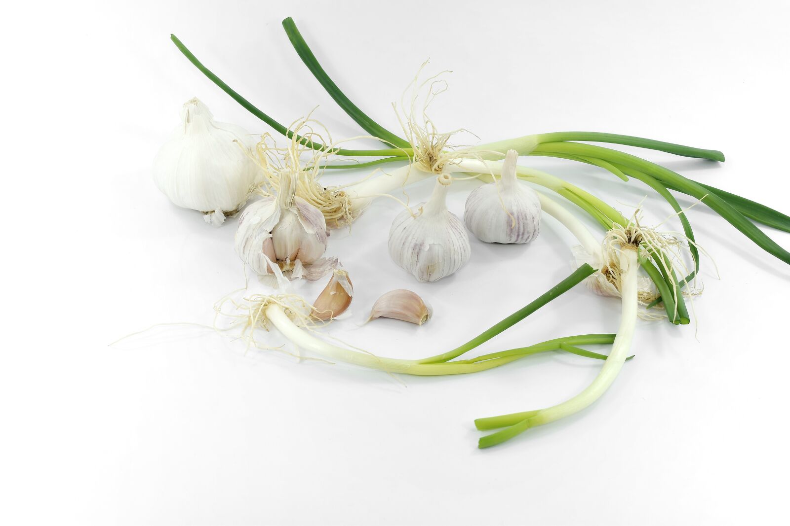 Nikon D5500 sample photo. Chives, garlic, leek, onion photography