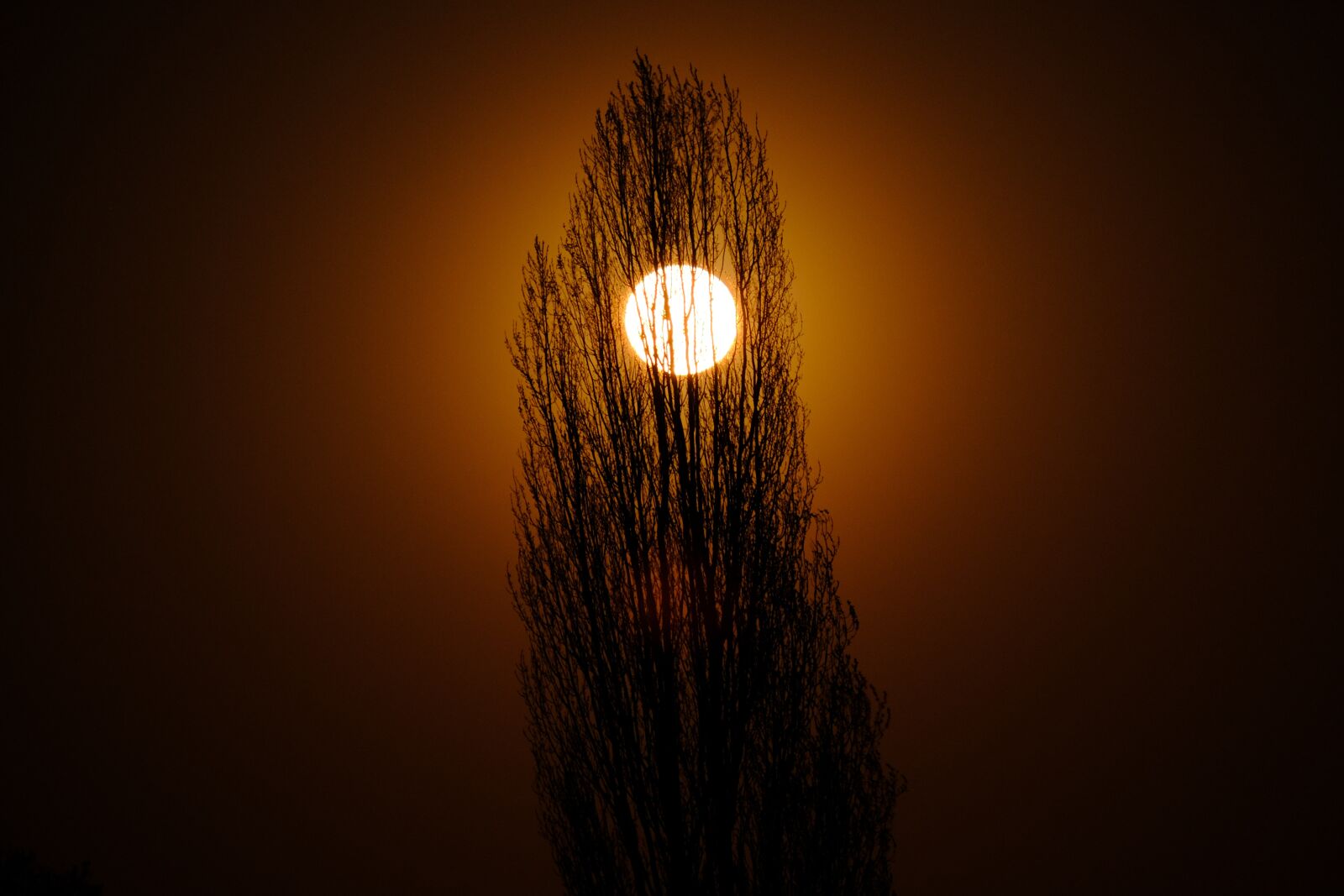 Fujifilm XF 55-200mm F3.5-4.8 R LM OIS sample photo. Moon, moonrise, super moon photography