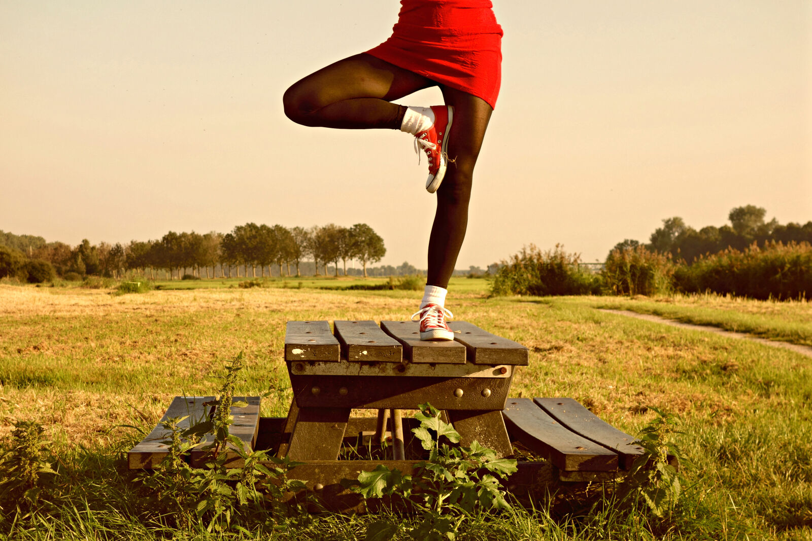 Sony Cyber-shot DSC-RX100 sample photo. Balance, countryside, field, girl photography