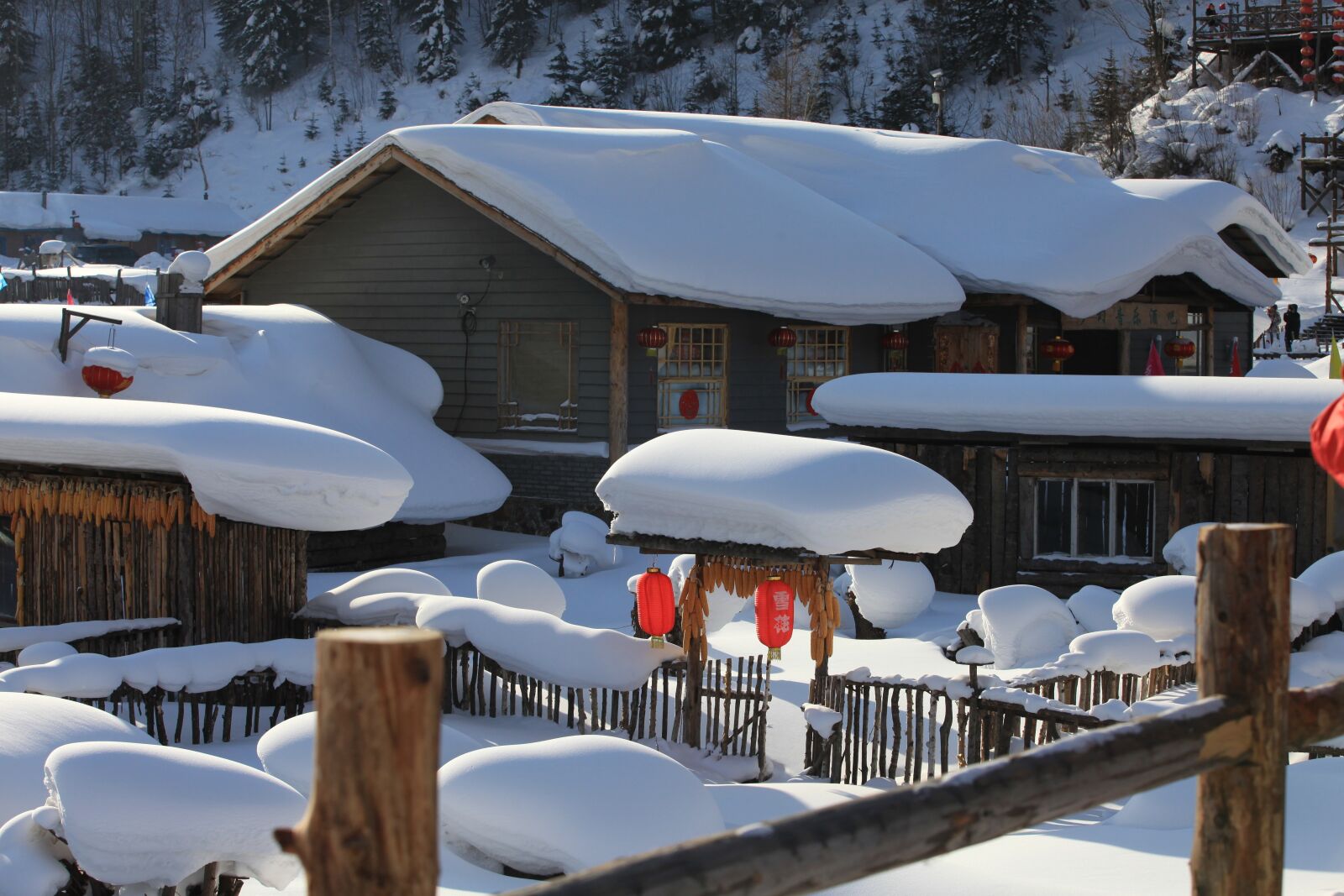 Canon EOS 5D Mark II sample photo. Snow, home, tourism photography