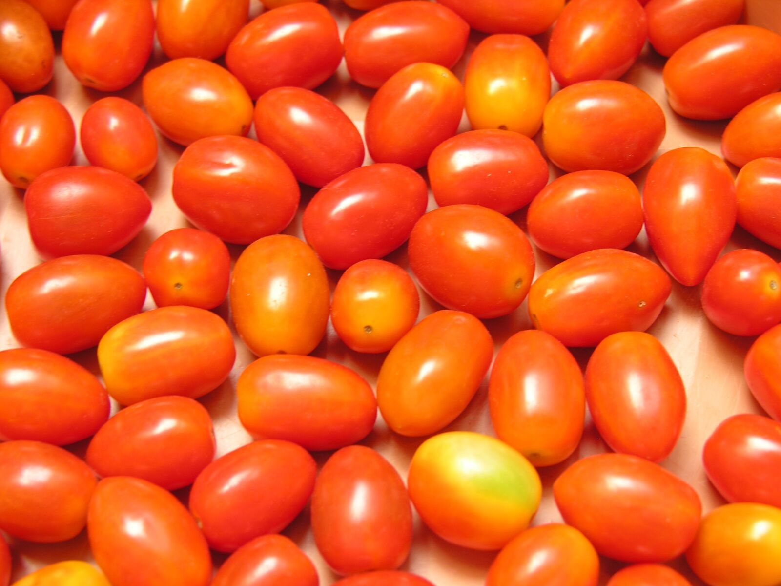 Nikon E8800 sample photo. Tomato, food, cherry tomato photography