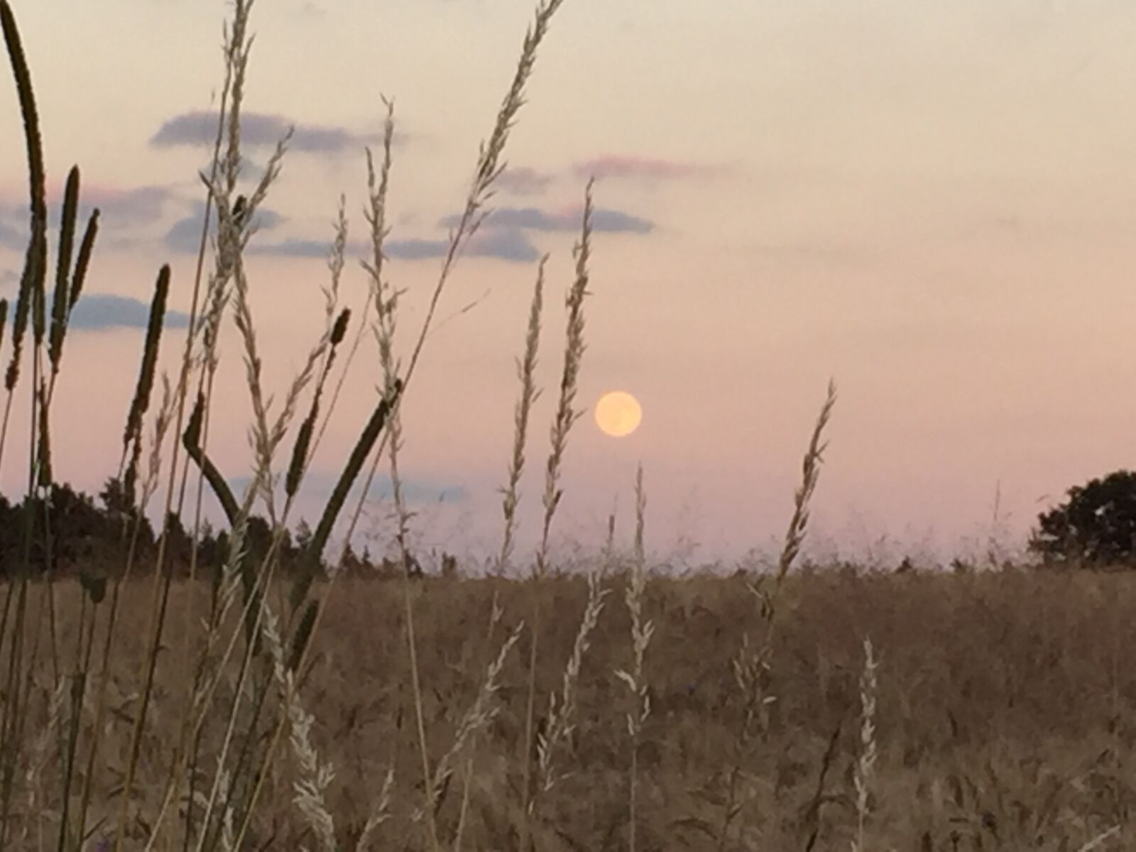 iPhone 6 back camera 4.15mm f/2.2 sample photo. Sundown, landscape, nature photography
