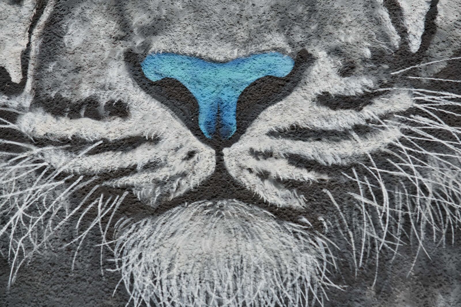 Nikon D5500 sample photo. Graffiti, mouth, nose, tiger photography