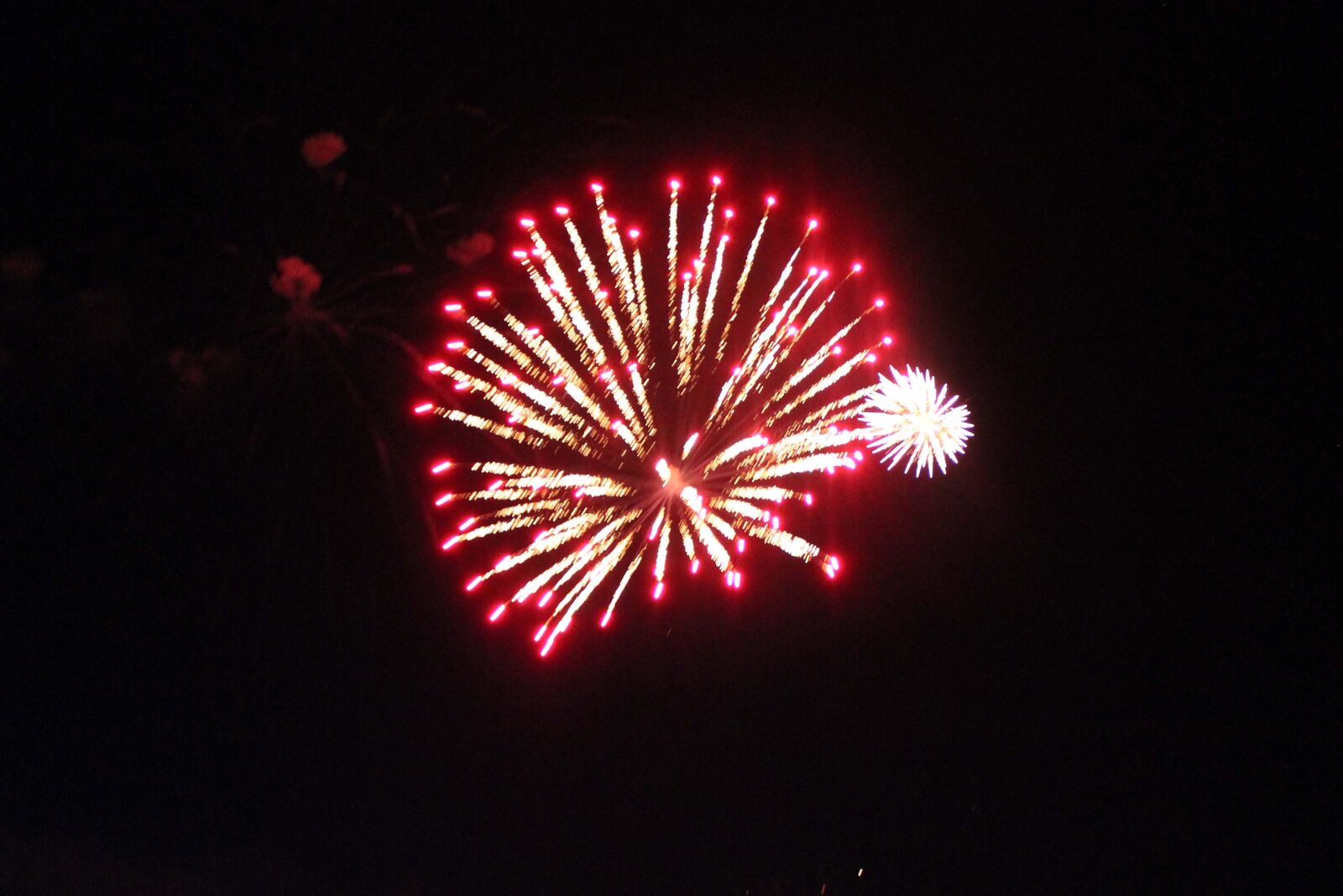 Canon EOS 550D (EOS Rebel T2i / EOS Kiss X4) sample photo. Firework, explosion, photography photography
