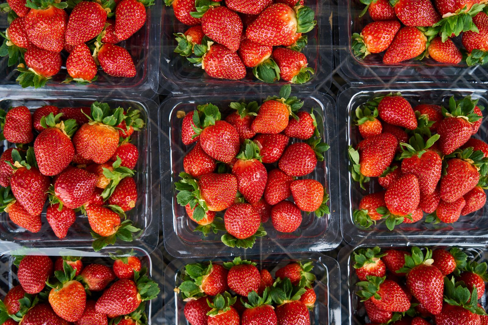 Sony a7R II sample photo. Strawberry, red, fruit photography