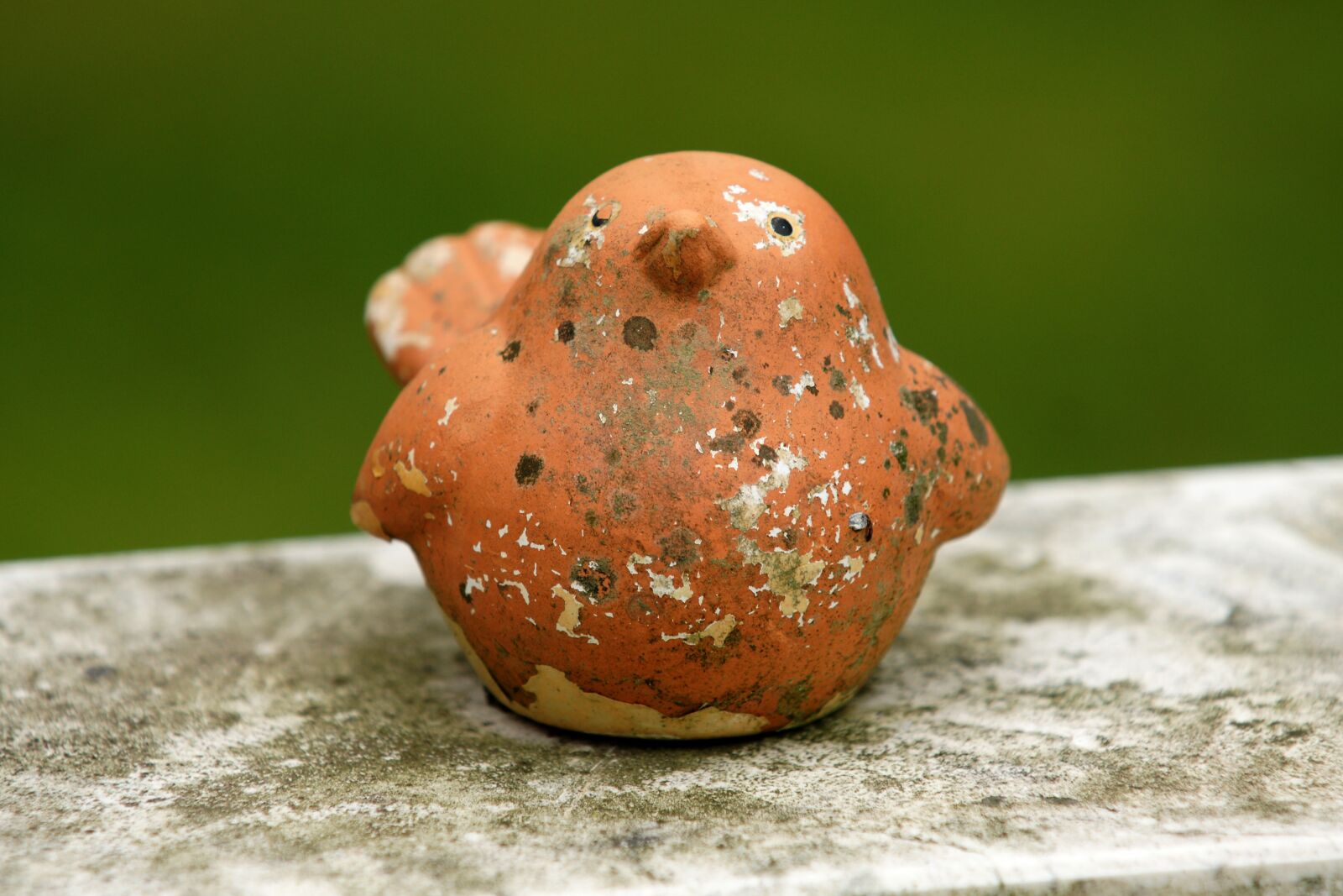 Sony Alpha DSLR-A700 sample photo. Bird, cemetery, harmony photography