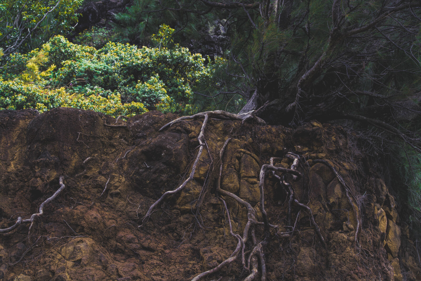 Nikon D5200 sample photo
