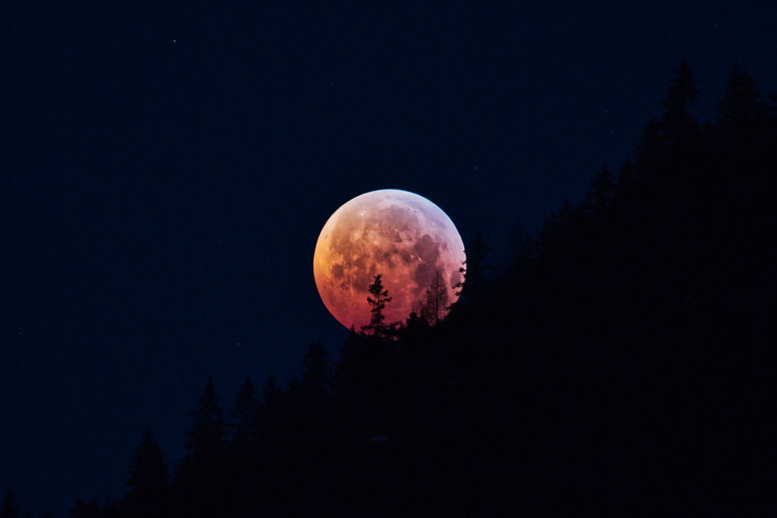 Canon EOS 80D sample photo. Lunar eclipse, super moon photography