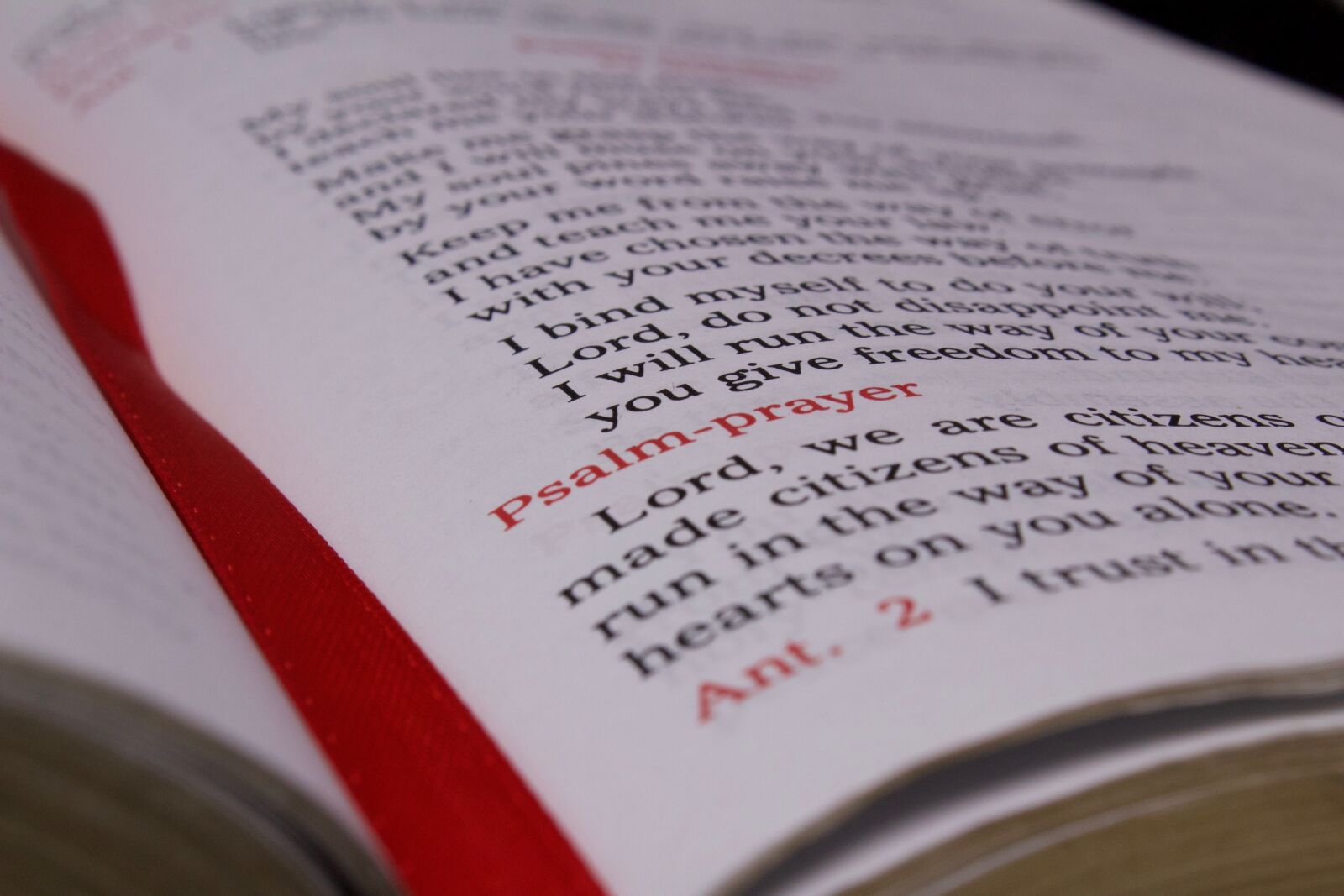 Canon EOS 1200D (EOS Rebel T5 / EOS Kiss X70 / EOS Hi) sample photo. Prayer, scripture, bible photography