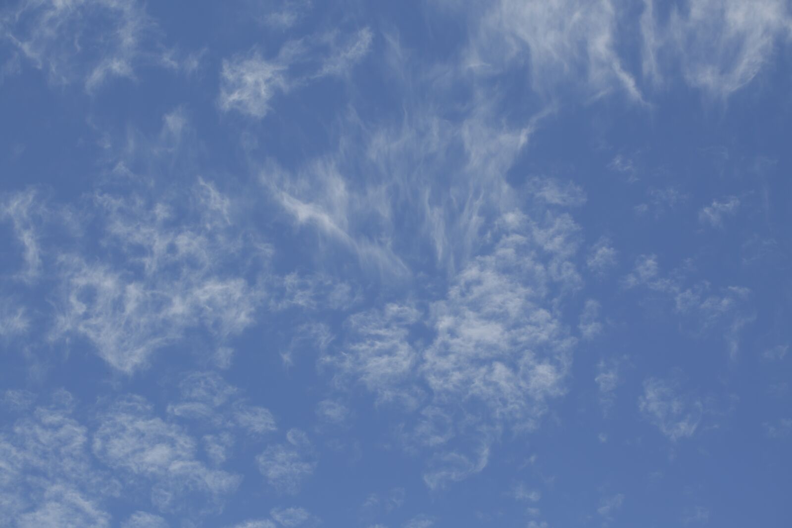 Canon EF 100mm F2.8L Macro IS USM sample photo. Sky, clouds, blue photography