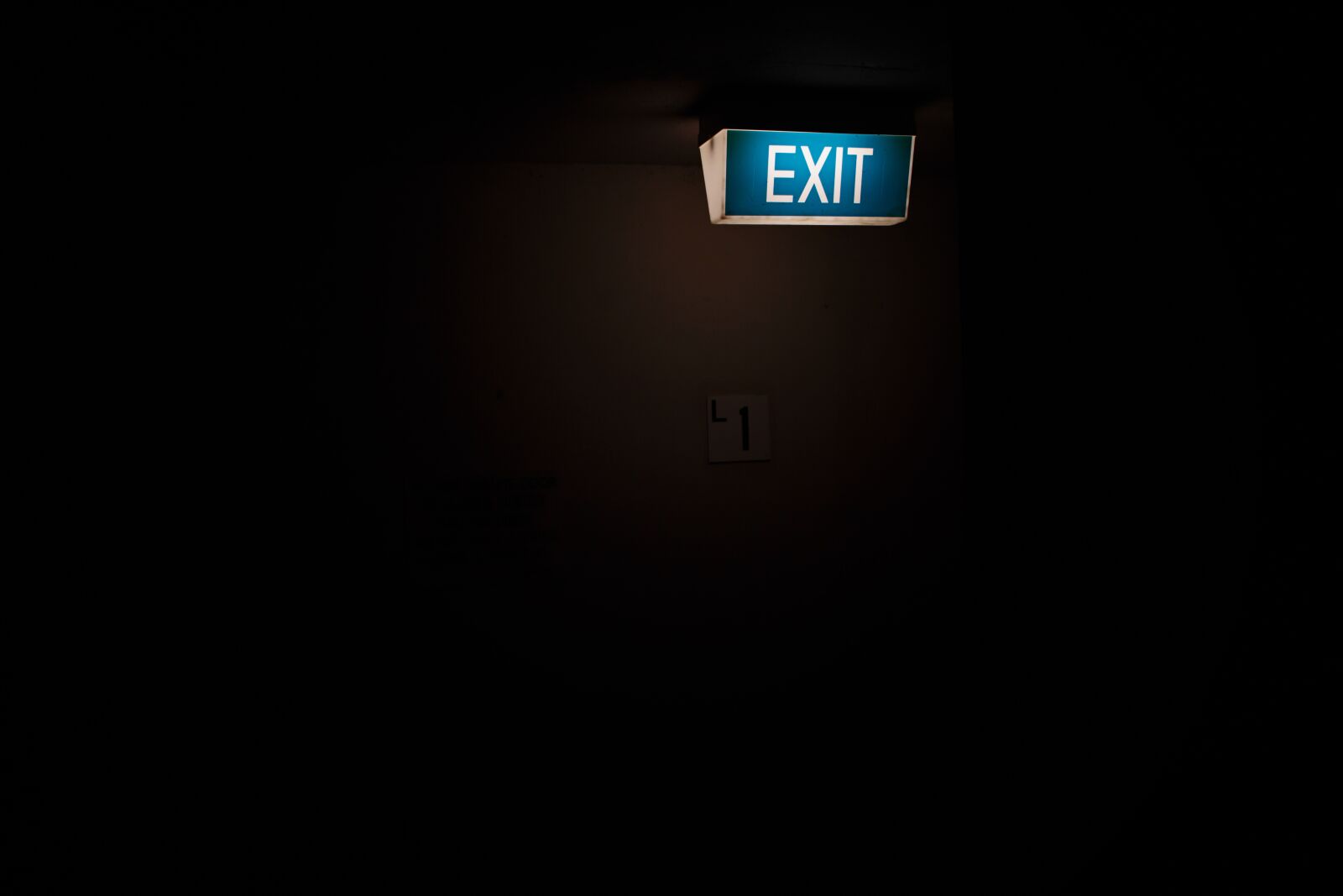 Canon EOS 60D sample photo. Black background, exit sign photography