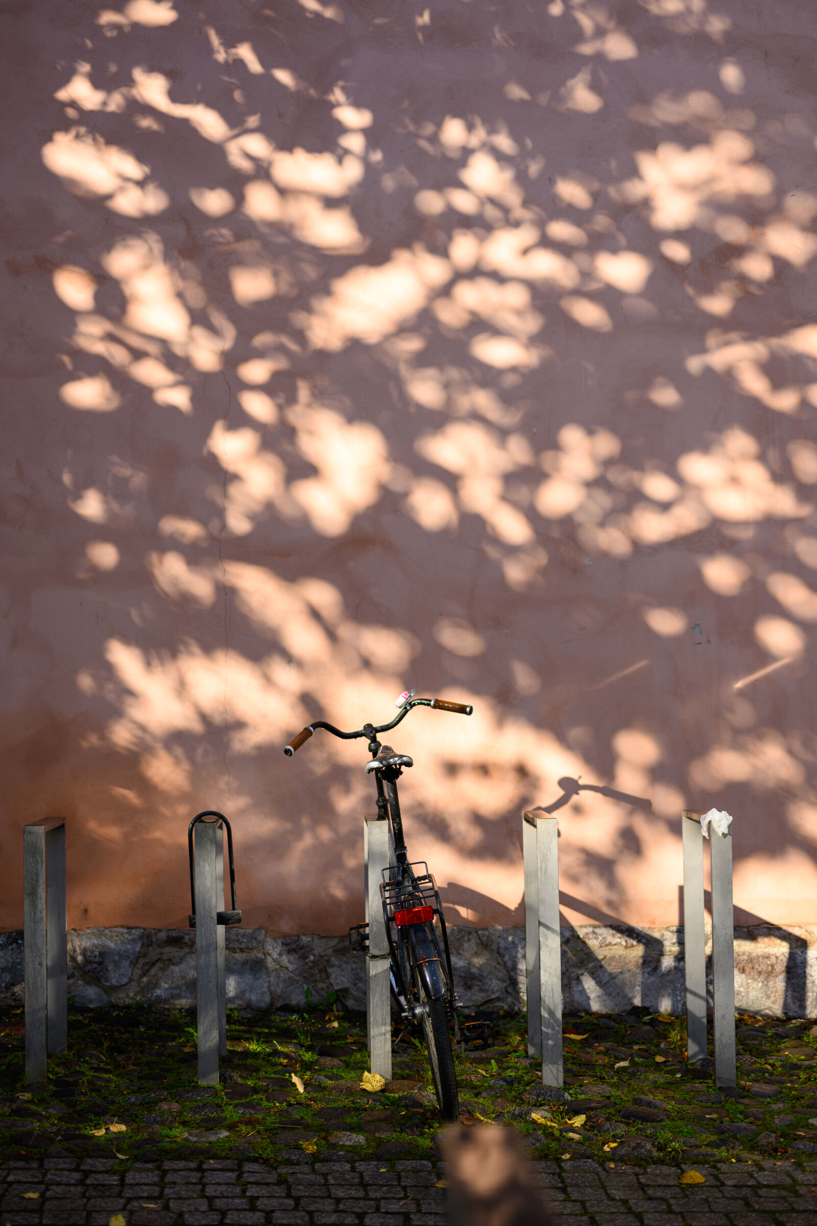 Nikon Z8 sample photo. Bicycle stand by the photography