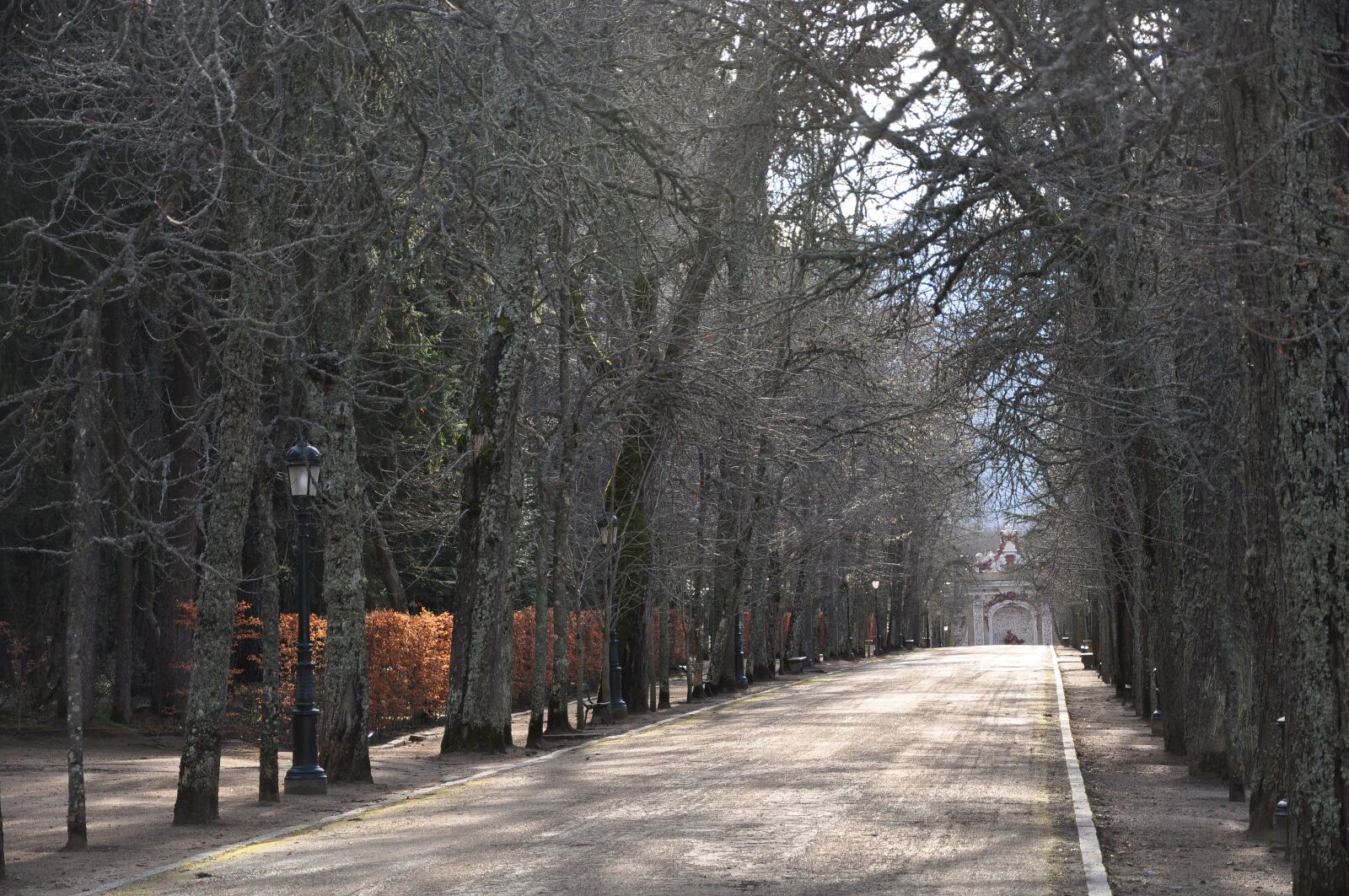 Nikon D5000 sample photo. Park, trees, path photography