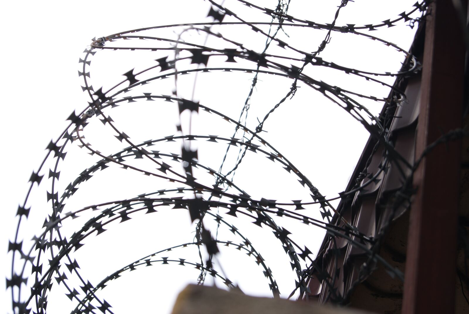 Sony Alpha DSLR-A230 sample photo. Barbed wire, military wire photography