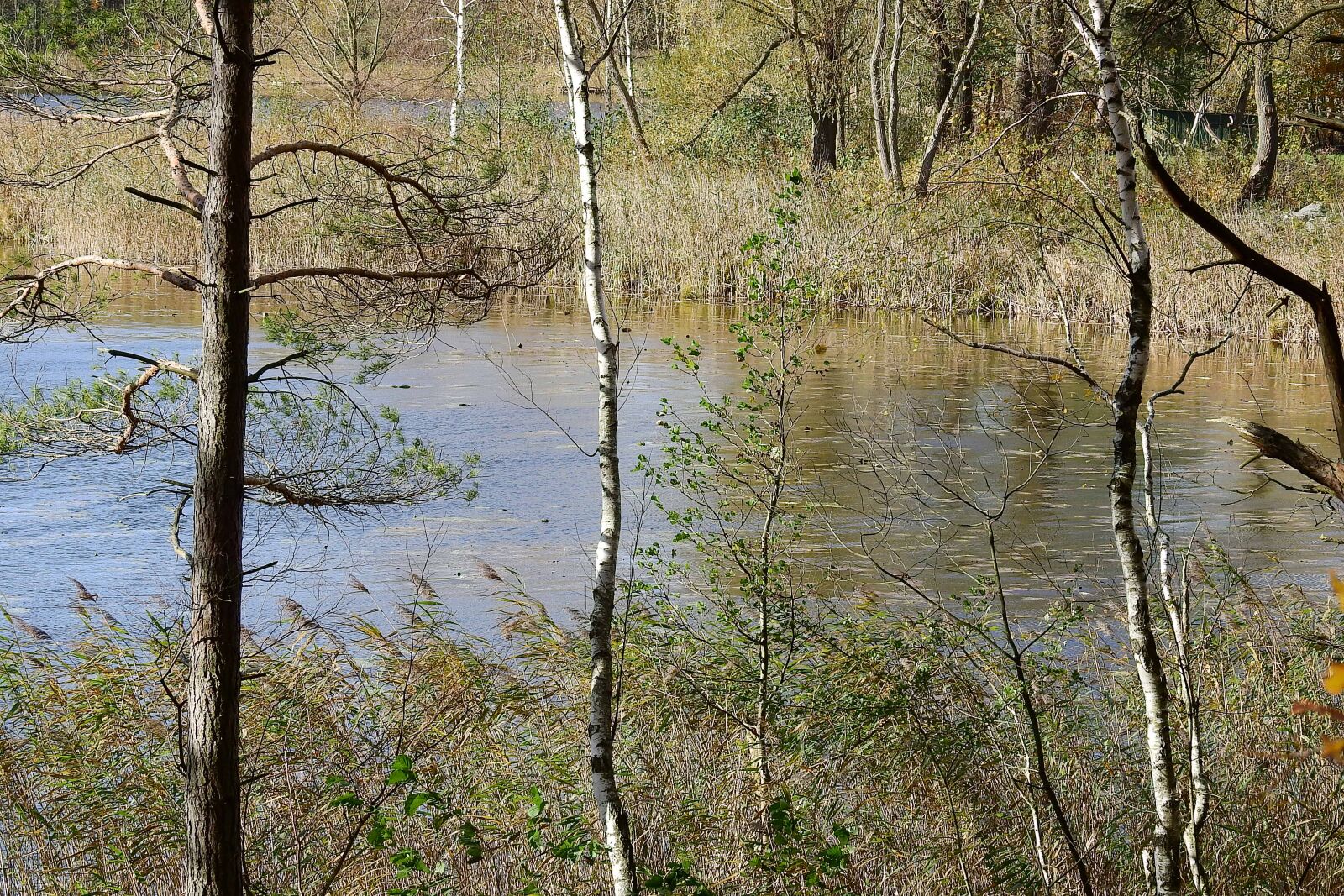 Nikon Coolpix P900 sample photo. Landscape, lake, water photography