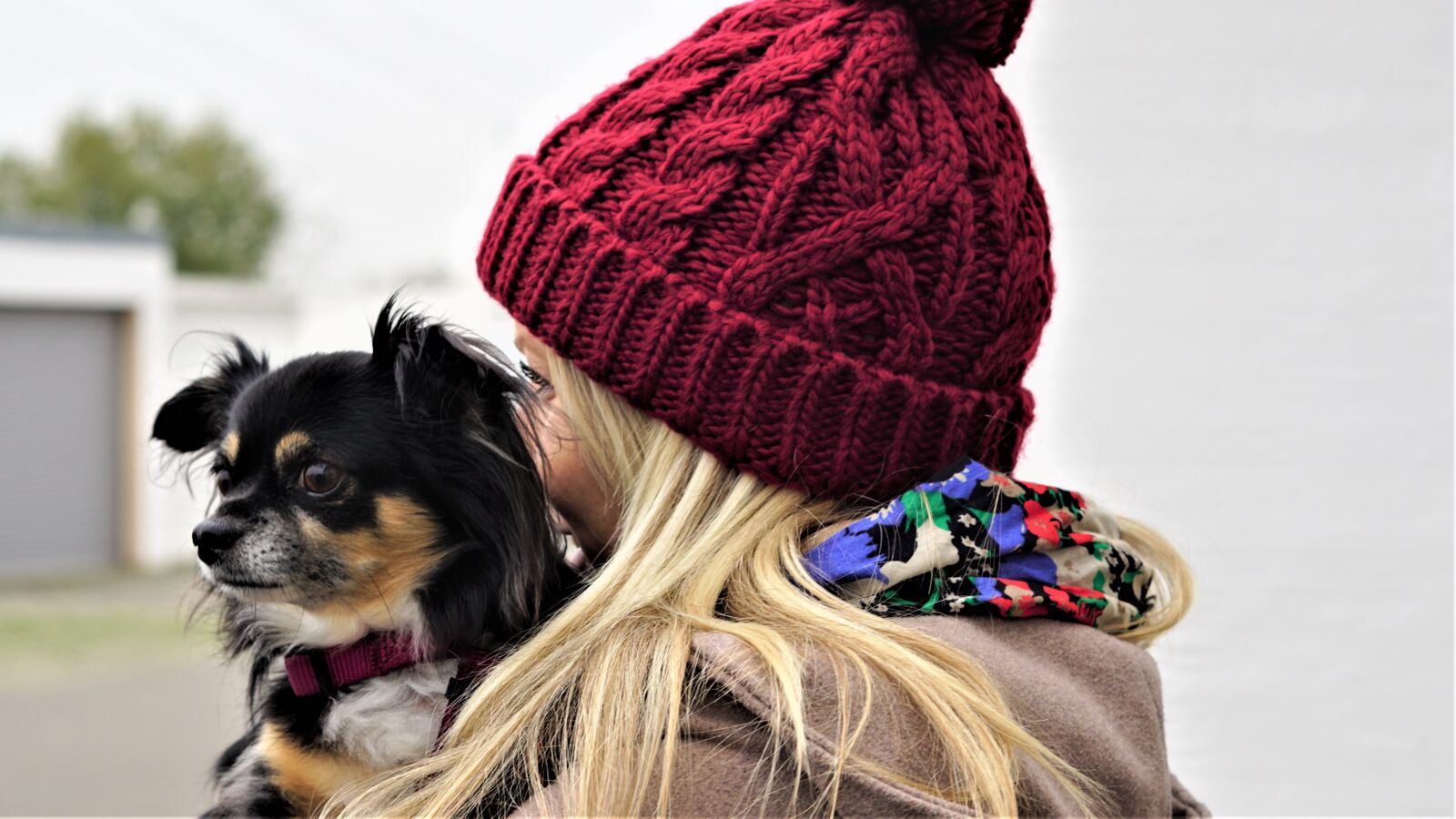 Sony FE 50mm F1.8 sample photo. Man and animal, background photography