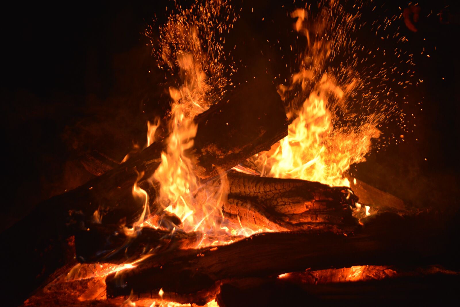 Nikon D610 sample photo. Campfire, fire, camping photography