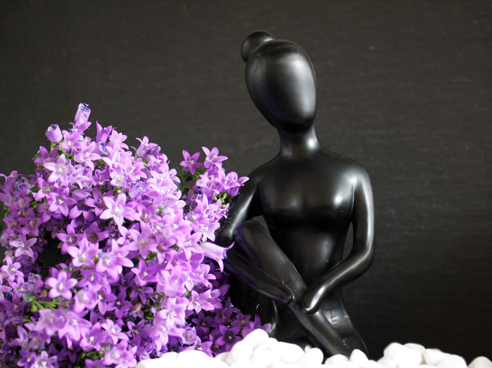 Canon EOS 550D (EOS Rebel T2i / EOS Kiss X4) sample photo. Woman, sculpture, figure photography
