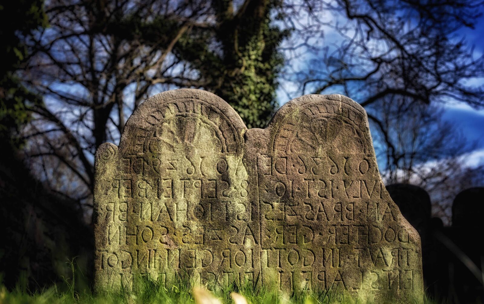 Nikon D3300 sample photo. Tree, nature, cemetery, stone photography