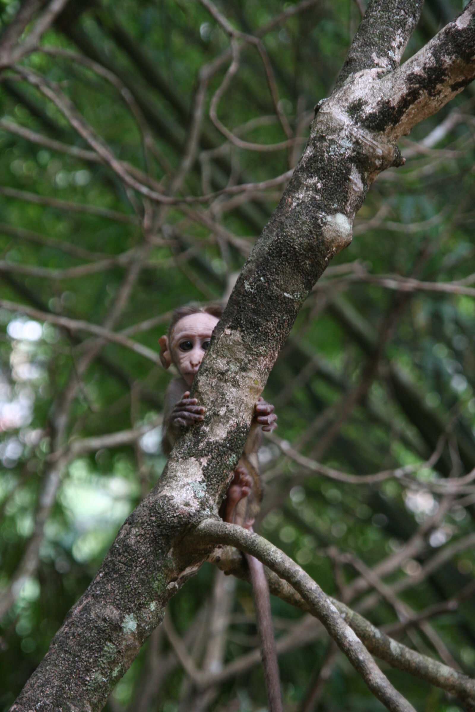 Canon EOS 20D sample photo