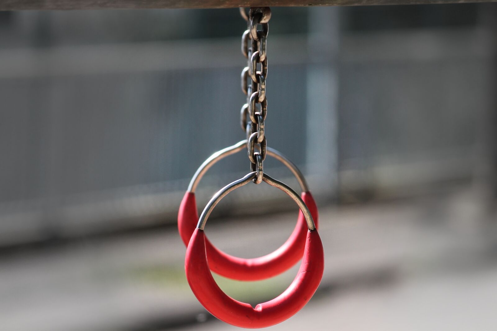 Canon EOS 1100D (EOS Rebel T3 / EOS Kiss X50) sample photo. Rings, gymnastics, gymnastic rings photography