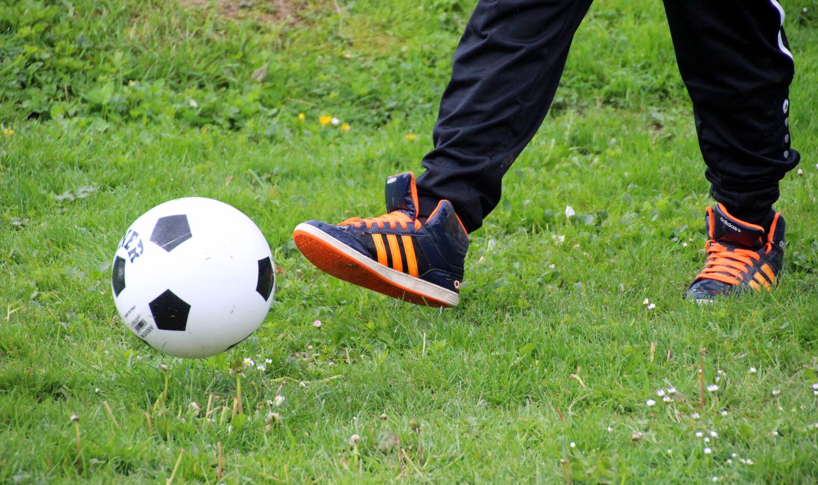 Canon EOS 650D (EOS Rebel T4i / EOS Kiss X6i) sample photo. Ball, football, ball game photography