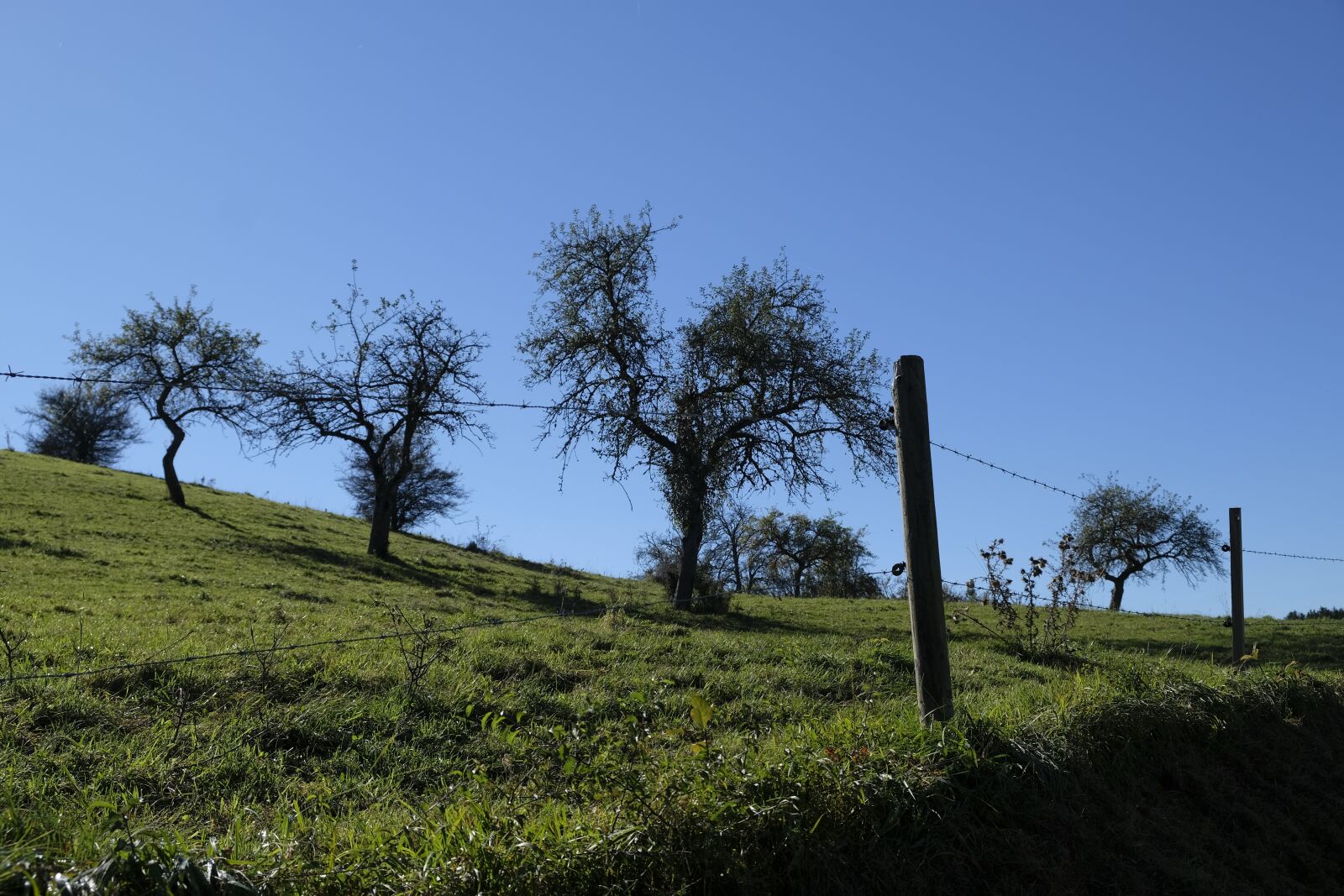 Fujifilm XF 18-55mm F2.8-4 R LM OIS sample photo. Meadow, fence, barbed wire photography