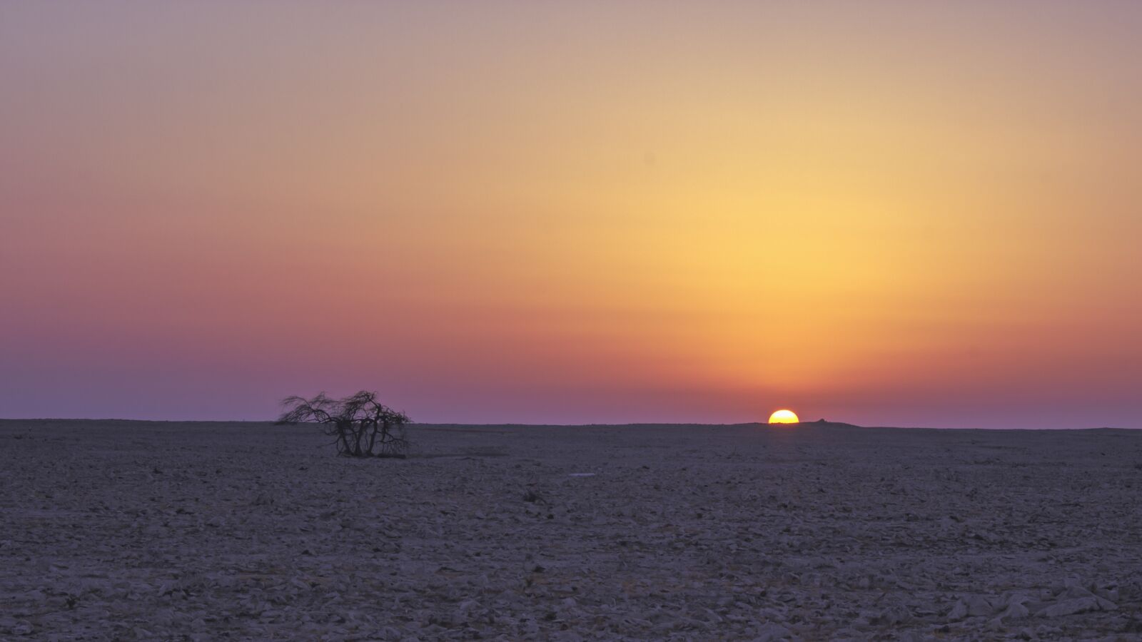 Canon EOS 600D (Rebel EOS T3i / EOS Kiss X5) sample photo. Sun set, bahrain, golden photography