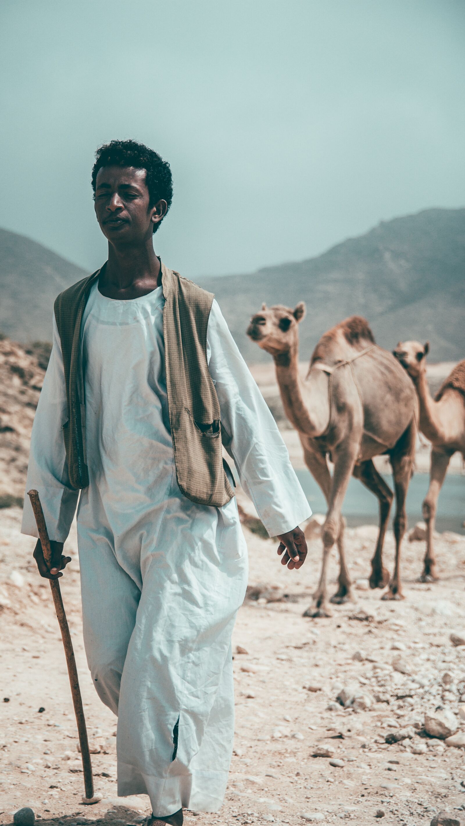 Canon EOS 650D (EOS Rebel T4i / EOS Kiss X6i) sample photo. Camel, desert, arabia photography