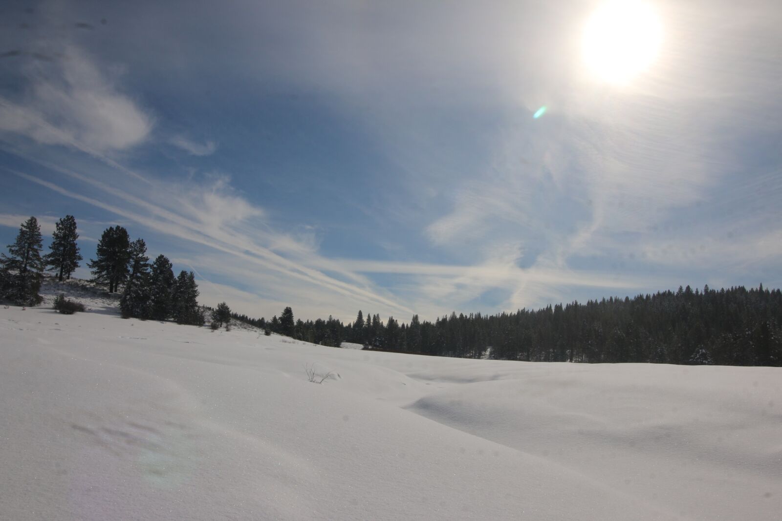 Canon EOS 70D + Canon EF-S 10-18mm F4.5–5.6 IS STM sample photo. Snow, winter, sun photography