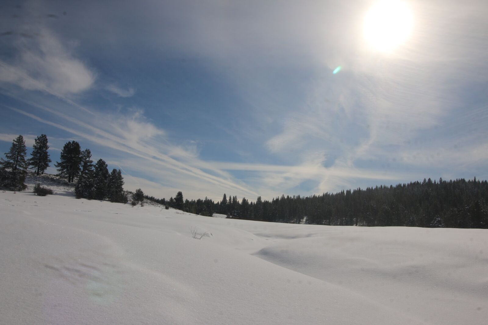 Canon EOS 70D sample photo. Snow, winter, sun photography