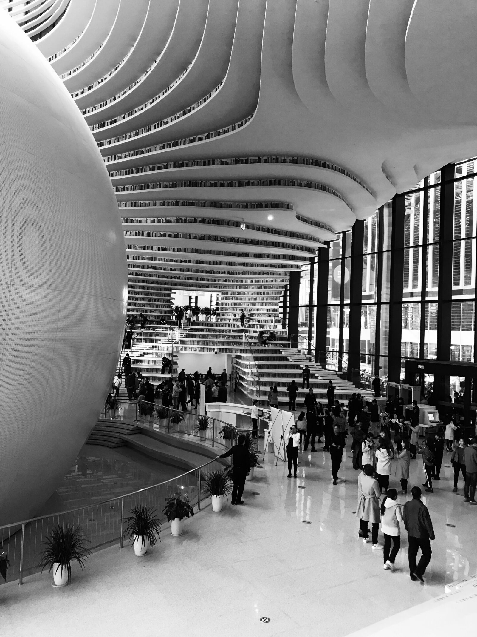 iPhone 7 Plus back dual camera 3.99mm f/1.8 sample photo. Tianjin, library photography