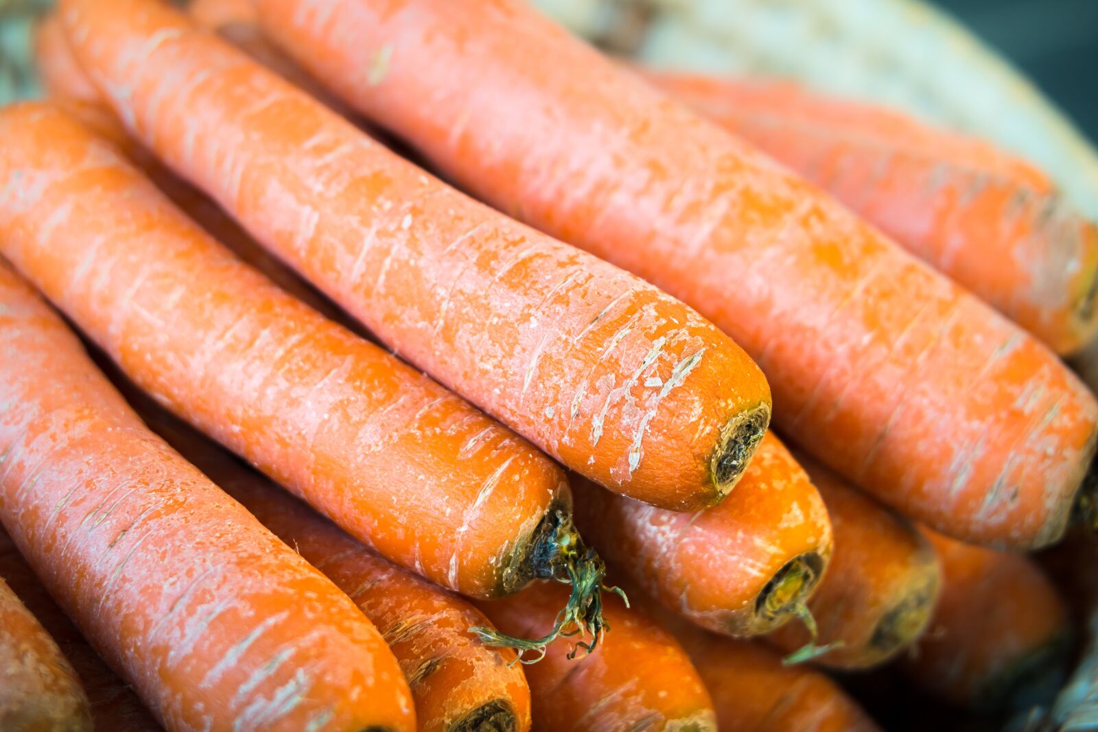 Samsung NX300M sample photo. Carrots, vegetables, thanksgiving photography
