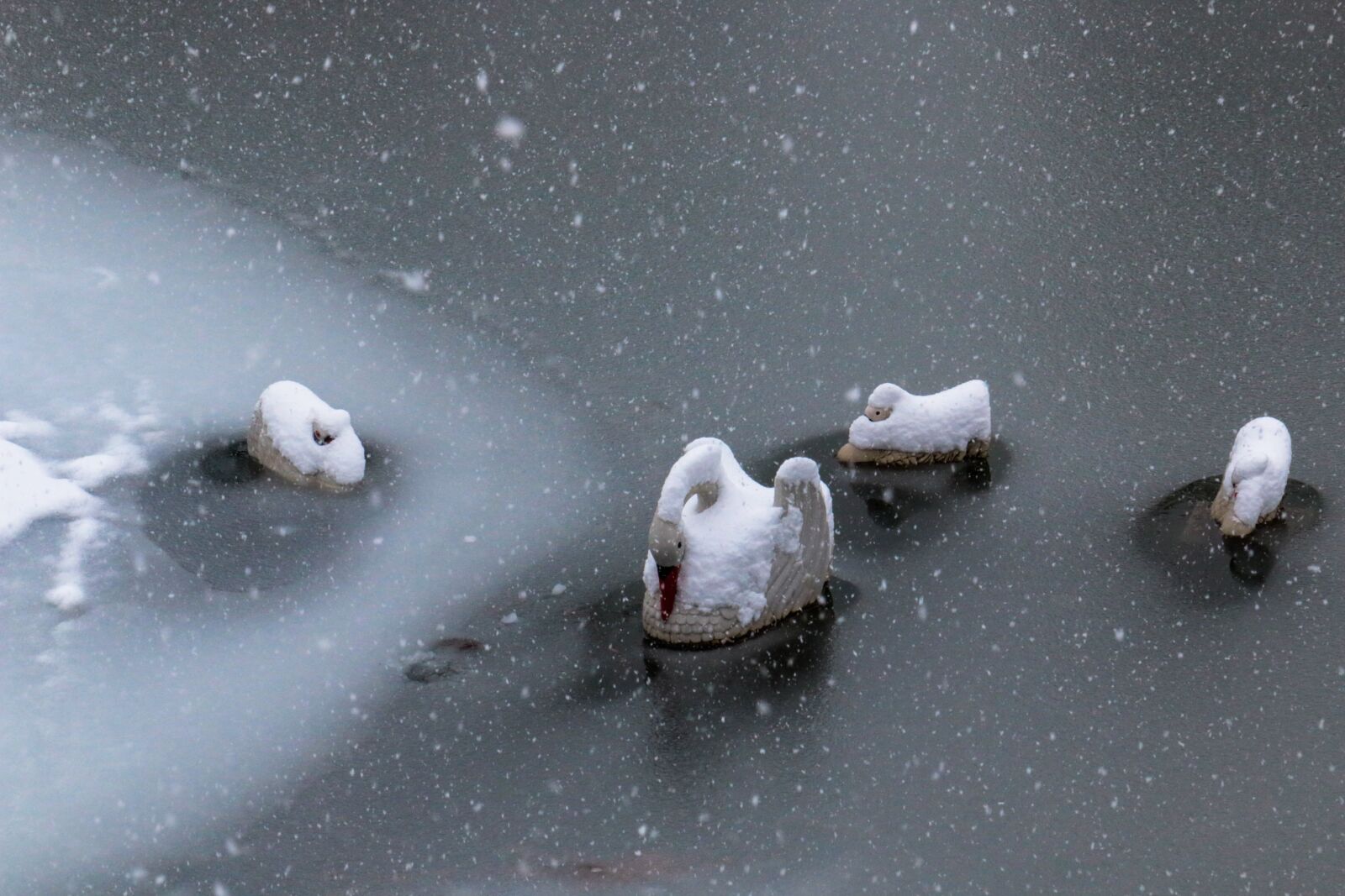 Canon EOS 70D sample photo. Snow, winter, water photography