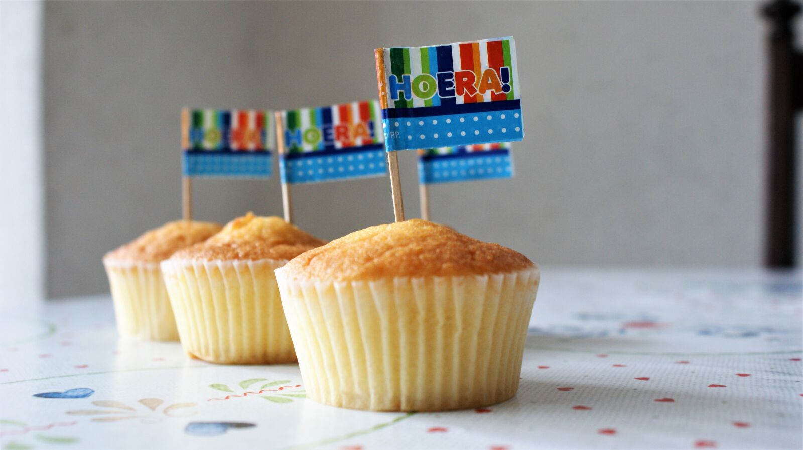 Sony Alpha DSLR-A350 sample photo. Party, cake, flag photography