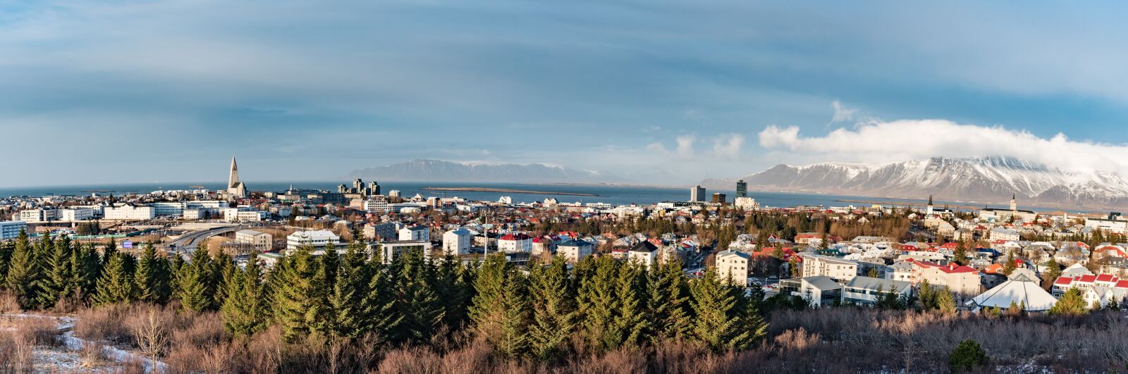 Nikon D750 sample photo. Reykjavik, panorama, iceland photography