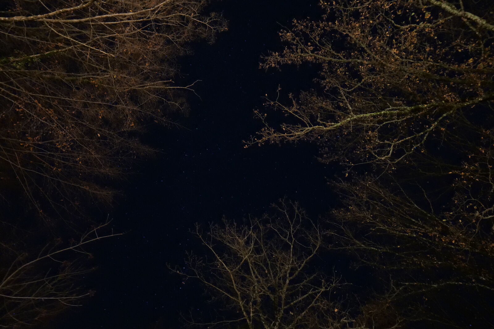 Panasonic DC-S5D sample photo