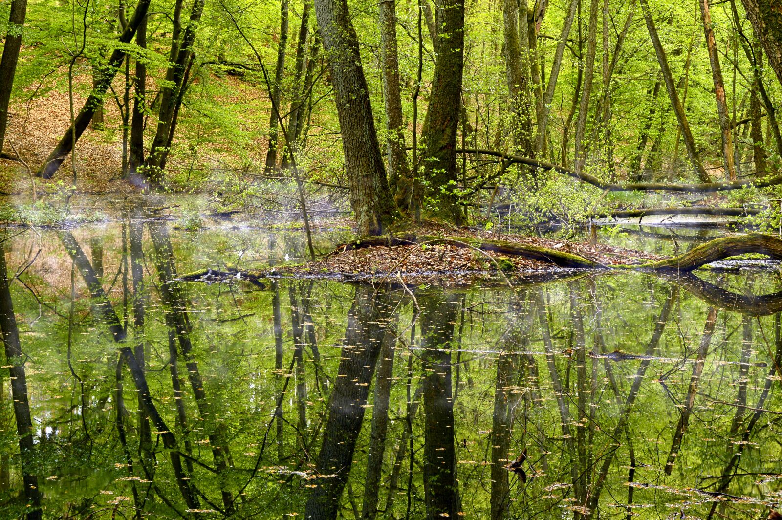 Nikon D3200 sample photo. Landscape, water, creek photography