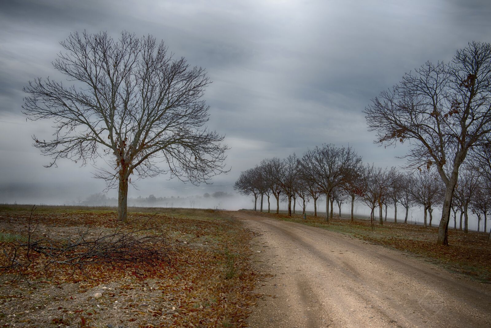 Nikon D800 sample photo. Landscape, bragança, montesinho photography