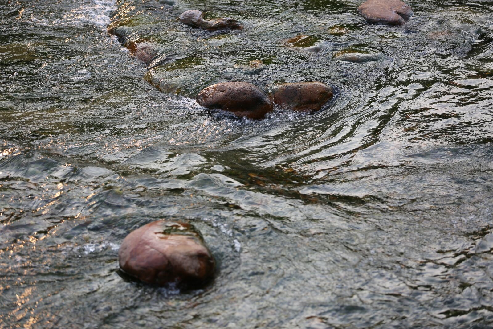 Canon EOS 5D Mark III sample photo. Close, up, nature photography