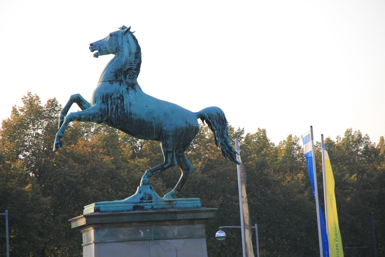 Canon EOS 550D (EOS Rebel T2i / EOS Kiss X4) sample photo. University of hannover, horse photography