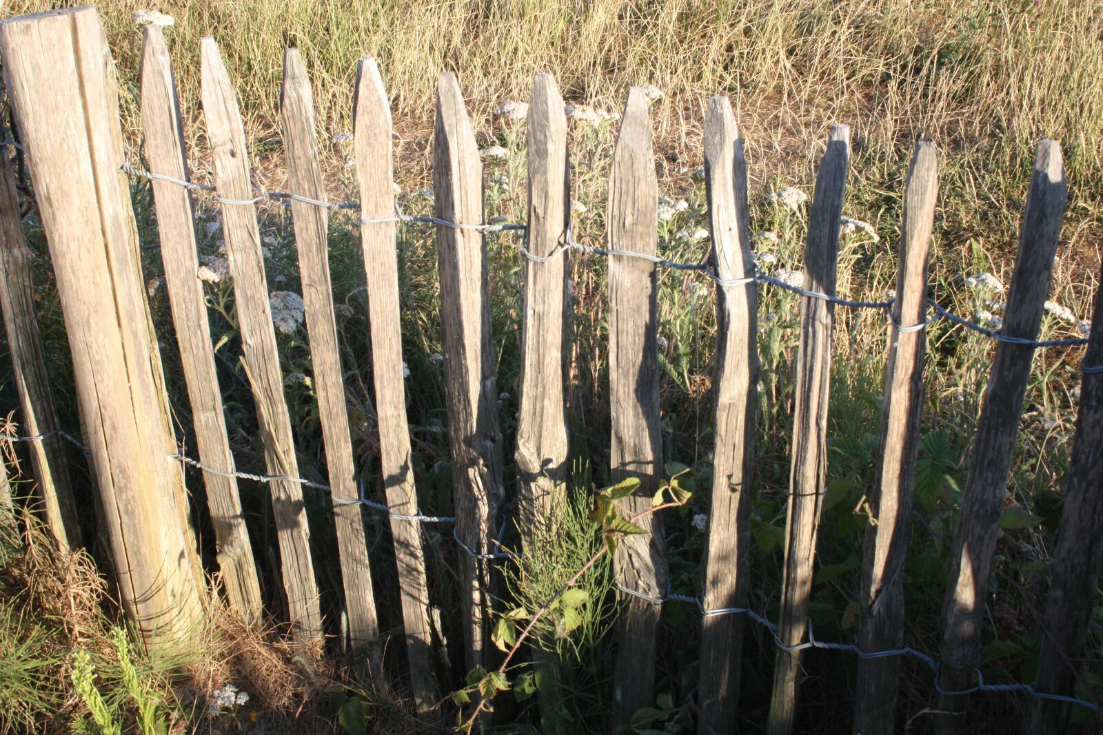 Canon EOS 450D (EOS Rebel XSi / EOS Kiss X2) sample photo. The fence, wood, beach photography
