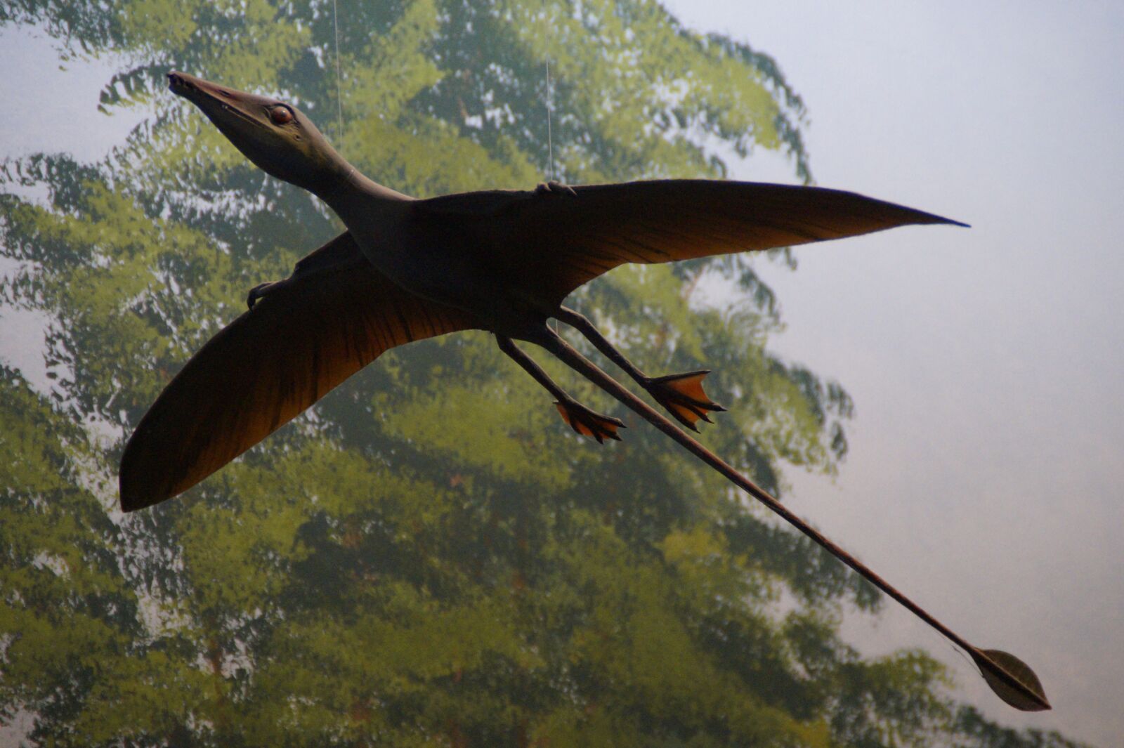 Sony SLT-A58 sample photo. Pterosaur, replica, exhibit photography