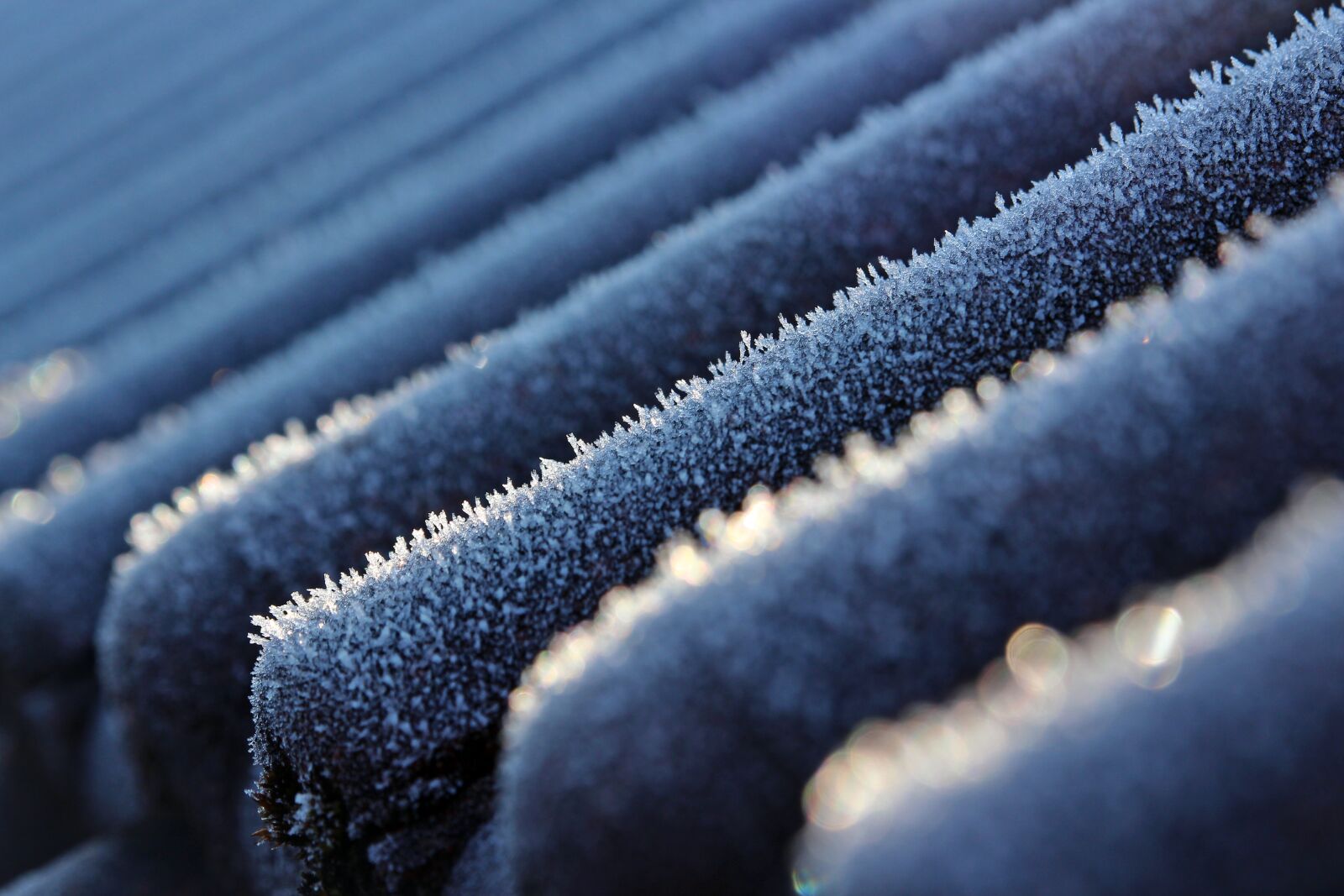 Canon EOS 700D (EOS Rebel T5i / EOS Kiss X7i) sample photo. Sharpness game, ice, winter photography