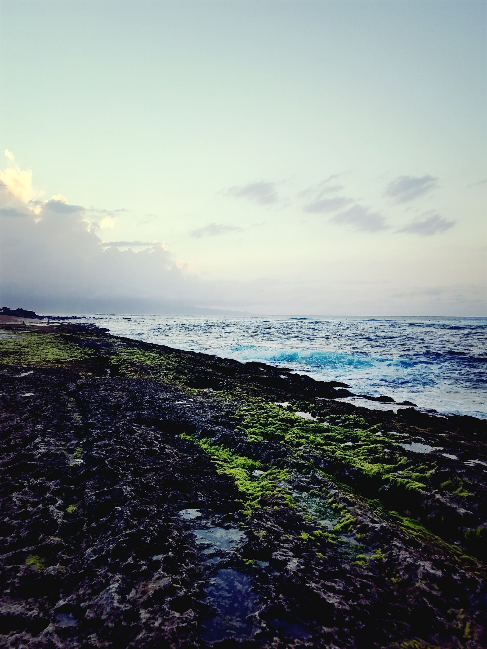 Samsung Galaxy S7 Edge sample photo. Algae, coast, line, hawaii photography