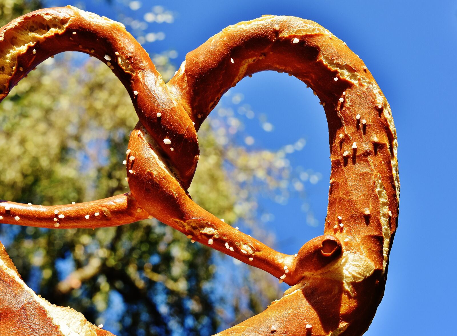 Nikon D7200 sample photo. Wiesnbreze, breze, pretzel photography