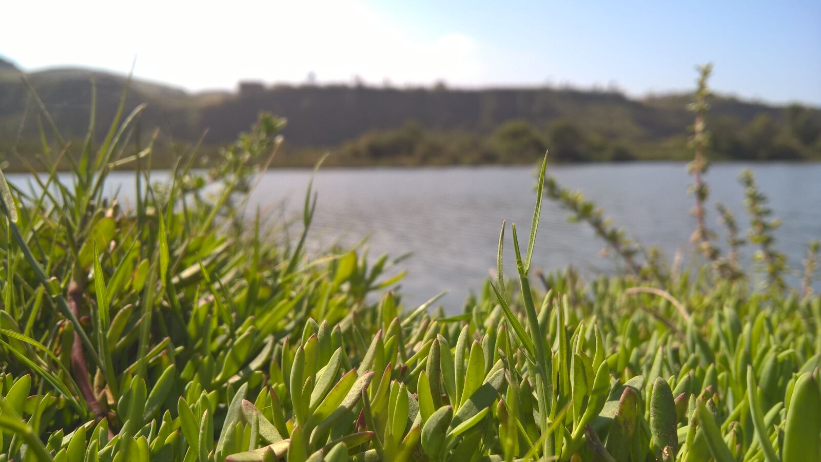 Microsoft Lumia 640 XL sample photo. Hil, river photography